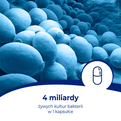 Dicoflor Ibsium dla dzieci dorosłych probiotyk jelito drażliwe 20 kapsułek 2 + 1 GRATIS + podkładka 5 w 1 GRATIS!